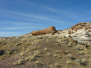 photo thumbnail #9