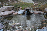 photo thumbnail #2