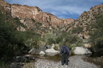 photo thumbnail #11