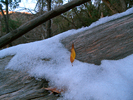 photo thumbnail #2