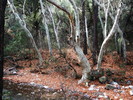 photo thumbnail #15