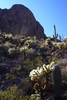 photo thumbnail #3