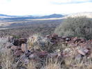 photo thumbnail #9