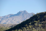 photo thumbnail #2