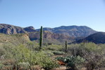 photo thumbnail #7