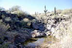 photo thumbnail #8