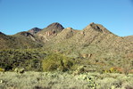 photo thumbnail #6