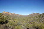 photo thumbnail #4