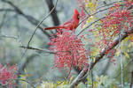 photo thumbnail #3