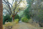 photo thumbnail #4