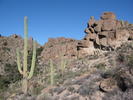 photo thumbnail #2