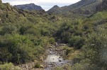 photo thumbnail #6