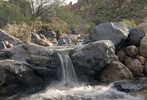 photo thumbnail #13