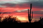 photo thumbnail #14