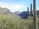 photo thumbnail #2