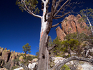photo thumbnail #12