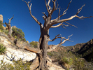 photo thumbnail #13