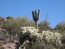 photo thumbnail #6