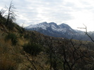 photo thumbnail #1