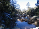 photo thumbnail #7