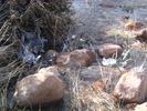 photo thumbnail #12