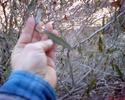 photo thumbnail #10