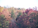 photo thumbnail #10