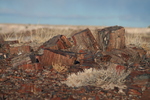 photo thumbnail #8
