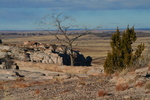 photo thumbnail #9