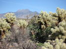 photo thumbnail #9