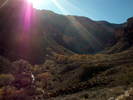 photo thumbnail #15