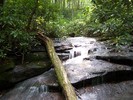 photo thumbnail #11
