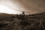 photo thumbnail #8