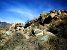 photo thumbnail #13