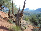 photo thumbnail #8