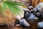 photo thumbnail #12