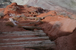 photo thumbnail #4