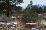 photo thumbnail #4