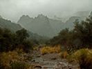 photo thumbnail #13