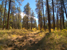 photo thumbnail #7