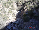 photo thumbnail #5