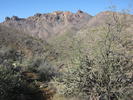 photo thumbnail #6