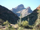 photo thumbnail #11