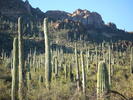 photo thumbnail #14
