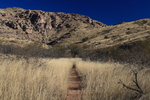 photo thumbnail #7