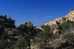 photo thumbnail #11