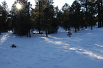 photo thumbnail #4