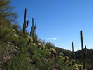 photo thumbnail #4
