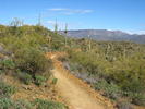 photo thumbnail #8