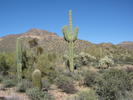 photo thumbnail #1